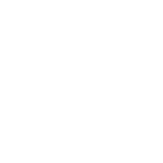 Boiler Service